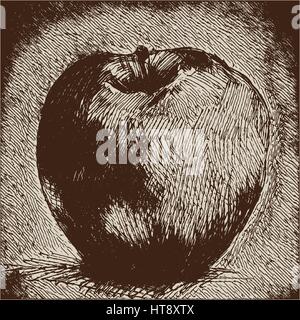 Digital vector detailed apple hand drawn retro illustration collection set. Thin artistic linear pencil outline. Vintage ink flat style, engraved simp Stock Vector