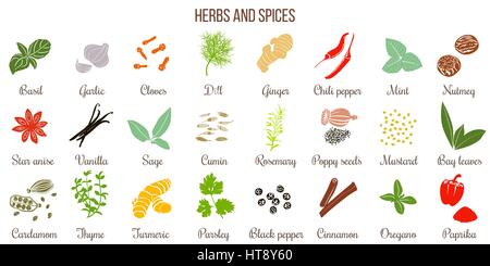 Big set of simple flat culinary herbs and spices . Silhouettes Stock Vector