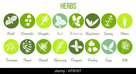 Big set of flat culinary herbs in circles. White Silhouettes Stock Vector