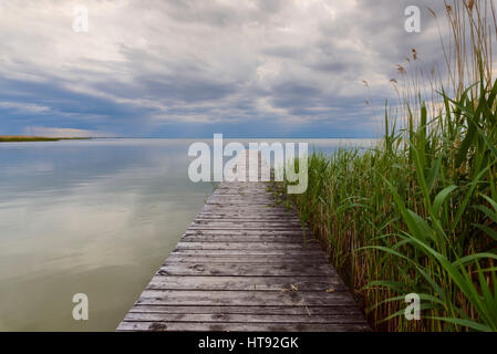 Wooden Jetty with Reeds at Weiden, Lake Neusiedl, Burgenland, Austria Stock Photo