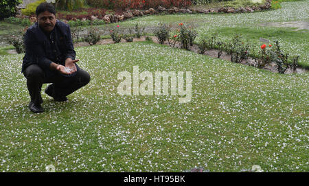 Lahore, Pakistan. 08th Mar, 2017. Pakistani employee of local restaurant collecting hail from garden. Rain and hail poured down in Lahore and turned the weather cold. Credit: Rana Sajid Hussain/Pacific Press/Alamy Live News Stock Photo