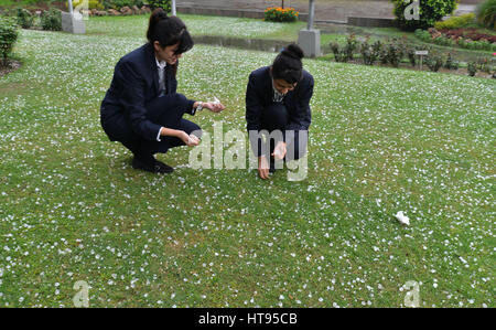 Lahore, Pakistan. 08th Mar, 2017. Pakistani employee of local restaurant collecting hail from garden. Rain and hail poured down in Lahore and turned the weather cold. Credit: Rana Sajid Hussain/Pacific Press/Alamy Live News Stock Photo