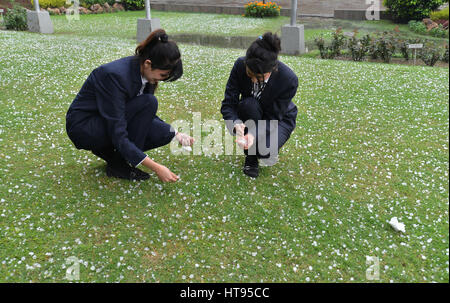 Lahore, Pakistan. 08th Mar, 2017. Pakistani employee of local restaurant collecting hail from garden. Rain and hail poured down in Lahore and turned the weather cold. Credit: Rana Sajid Hussain/Pacific Press/Alamy Live News Stock Photo