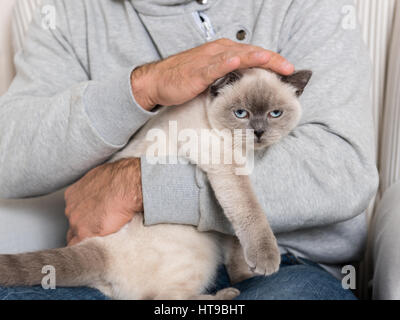 Man sitting in an armchair, holding his gorgeous pet cat Stock Photo