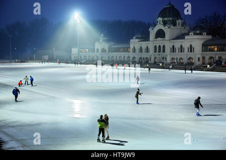 The Ice Rink in the City Park (Varosliget), Budapest, Hungary. Stock Photo