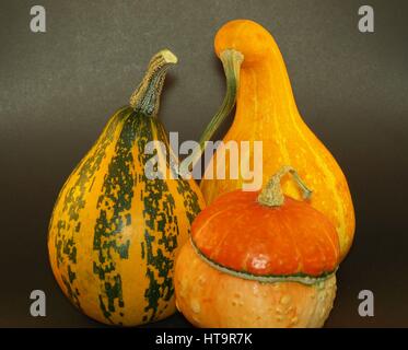 Three decorative pumpkins Stock Photo