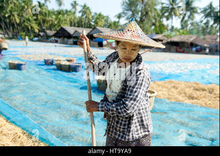 Myanmar (ex Birmanie). Ngapali. Arakan state. Bengal Golf Course. Fisherman village. Women Putting Dried Stock Photo