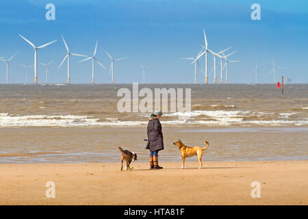 Burbo Bank Offshore Wind Farm seen from Ainsdale, Merseyside. 9th March 2017. UK Weather. Early morning dog walkers stroll in the glorious spring sunshine on Ainsdale beach in Merseyside. Credit: Cernan Elias/Alamy Live News Stock Photo