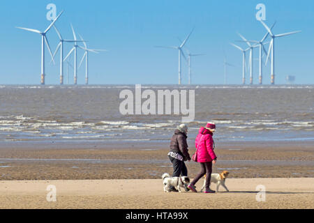 Crosby, Liverpool, Merseyside. 9th Mar, 2017. UK Weather.  With glorious spring sunshine raining down on the north west of England, dog walkers and joggers take to the seaside at Crosby Coastal Park in Merseyside.  Credit: Cernan Elias/Alamy Live News Stock Photo