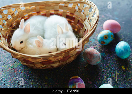 Three white rabbits in basket and creative painted eggs Stock Photo