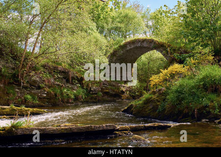 The remains of The Old Bridge of Livet that crosses the river Livet in the Scottish Highlands.UK. Stock Photo