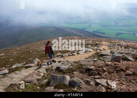 A hiker and their dog decending Ben Rinnes in the Scottish Highlands. UK. Stock Photo