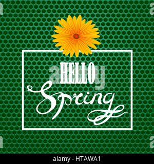 Hello Spring Lettering Design Stock Vector