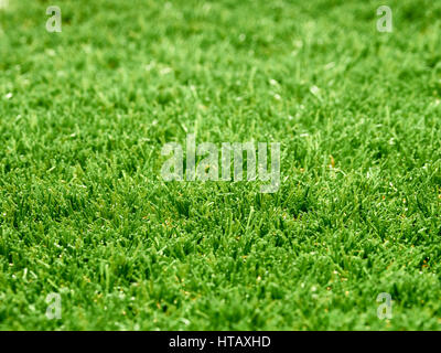 45 degree angled view of green astro turf grass, abstract lawn. Stock Photo