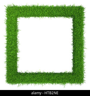 Green grass frame with copy-space. Square border template isolated on white background. Abstract plant texture. Organic design 3d rendering Stock Photo