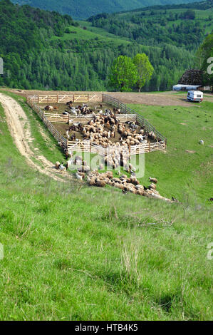 Sheepfold in the mountains Stock Photo