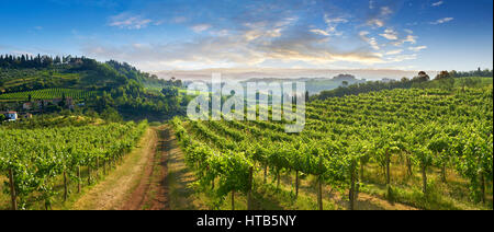 Chianti vineyards and vines of San Gimignano at sunrise, Tuscany Italy Stock Photo