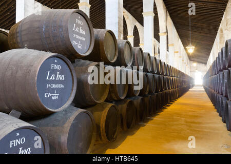 Sherry barrels at the Lustau bodega, Jerez de la Frontera, Cadiz province, Andalucia, Spain, Europe Stock Photo