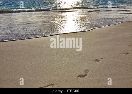Footprints on a sandy beach and shore surf at sunset Stock Photo