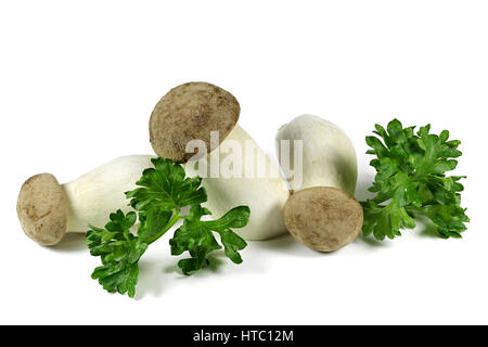 king oyster mushrooms with parsley isolated on white background Stock Photo