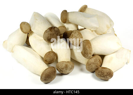 king oyster mushrooms isolated on white background Stock Photo