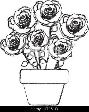 figure roses inside flower pot icon Stock Vector