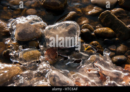 ice around pebbles, leman's lake, switzerland Stock Photo