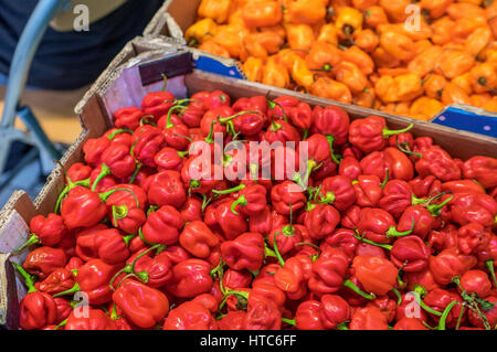 Crates with red and yellow peppers Stock Photo