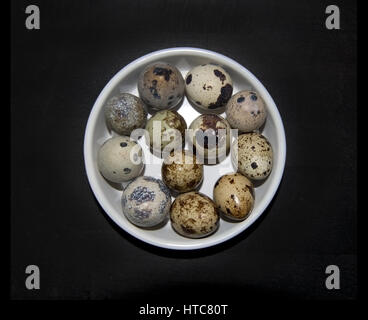 Twelve small quail eggs in white bowl. Stock Photo