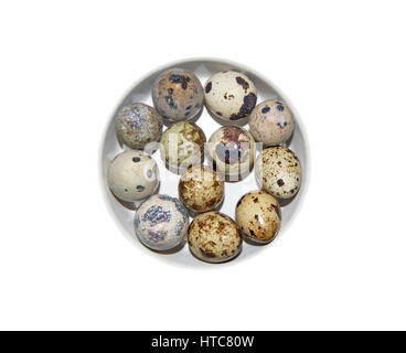 Twelve small quail eggs in white bowl. Stock Photo