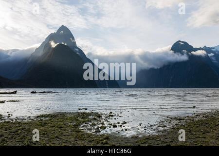 Milford Sound, Fiordland National Park, Southland, New Zealand. View from shoreline to Mitre Peak and the Footstool, thick cloud over the sound. Stock Photo