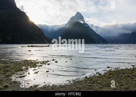 Milford Sound, Fiordland National Park, Southland, New Zealand. View from shoreline to Mitre Peak and the Footstool, thick cloud over the sound. Stock Photo