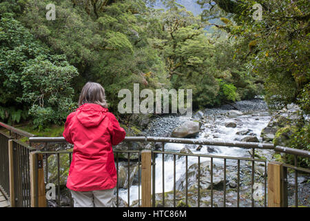 Milford Sound, Fiordland National Park, Southland, New Zealand. Visitor on bridge over the Cleddau River above the Chasm. Stock Photo