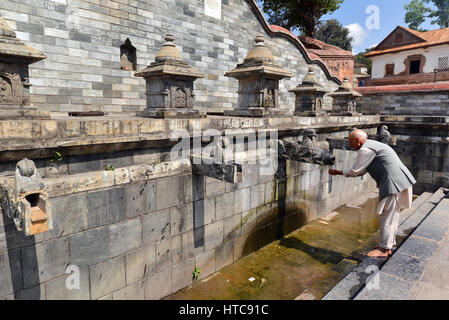PASHUPATINATH - OCTOBER 8: An unidentified old man drinking water from a public fountain during the Dashain festival. On Oct 8, 2013 in Pashupatinath, Stock Photo