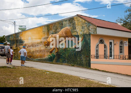 People looking at art murals painted on outdoor building walls in Lake Placid Florida known as the Town of Murals Stock Photo