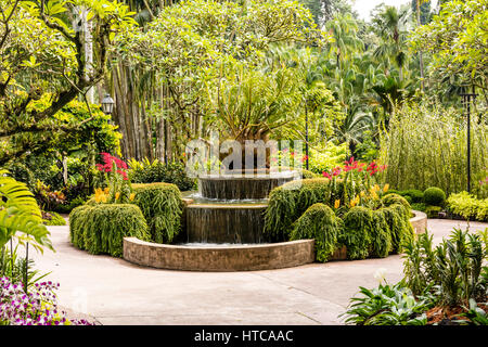 Botanic Gardens, Singapore, Asia Stock Photo