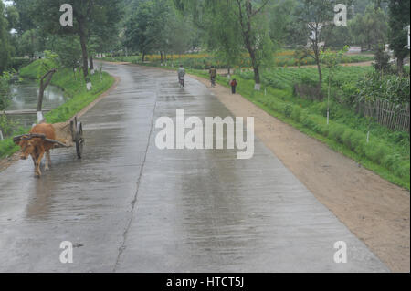 12.08.2012, Wonsan, North Korea - A street scene near the North Korean coastal town Wonsan. Stock Photo