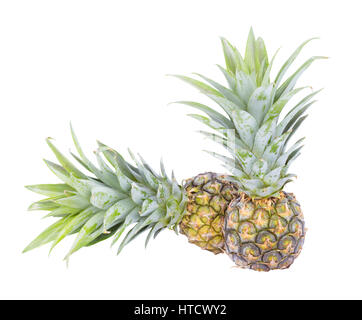 small pineapple isolated on white background (with clipping path) Stock Photo