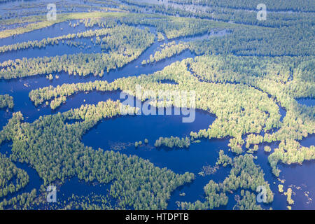 Aerial view flooded forest plains in summer. Stock Photo