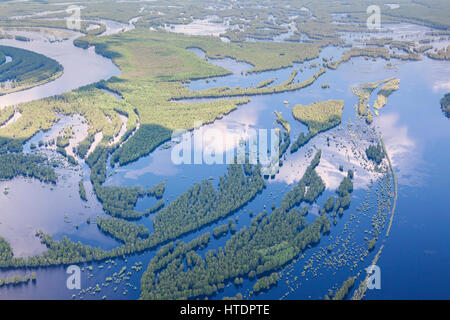 Aerial view flooded forest plains in summer. Stock Photo