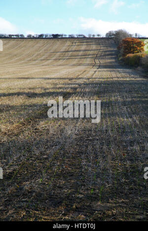 Ploughed field, patterns, straight furrows, ground, seedbed, Autumn soil, sown, tilled, farming, artistic lines, planting, cultivation, ploughing,seed Stock Photo