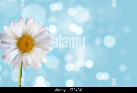 Spring and Summer Flower Natural Background. Vector Illustration Stock Vector