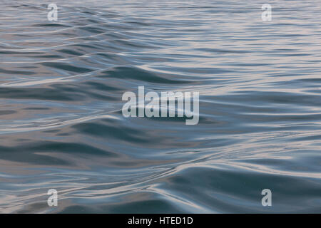 Abstract image of rolling bow waves made by a ship in the ocean. Stock Photo