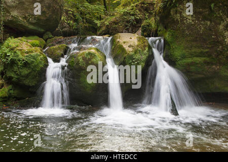 Schiessentumpel Waterfall in Mullerthal, Luxembourg. Stock Photo