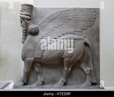 Lamassu from the Palace of Sargon II. Assyrians. 721-705 BC. Khorsabad Palace. Louvre Museum. Paris. France. Stock Photo