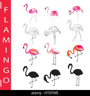 Flamingo vector set. Cartoon, outline and silhouette. Hand drawn sketch, pink coral paradise birds isolated on white. Stock Vector
