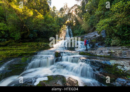 Hiker at McLean waterfall, Sun Star, The Catlins, Otago, Southland, New Zealand Stock Photo