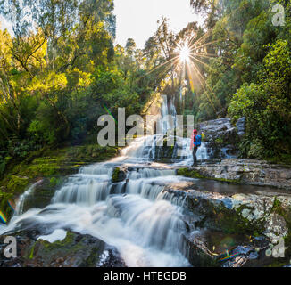 Hiker at McLean waterfall, Sun Star, The Catlins, Otago, Southland, New Zealand Stock Photo