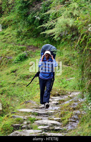 LANDRUK, NEPAL - OCTOBER 1: A Gurung Sherpa carrying a heavy bag in the Himalayas to the Annapurna Base Camp. On October 1, 2013 in Landruk, Nepal Stock Photo