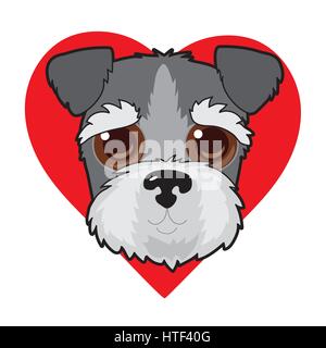 A cute illustration of a Schnauzer face with a red heart in the A cute illustration of a Schnauzer face with a red heart in the background Stock Vector